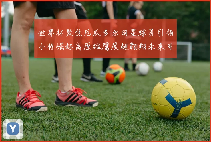 世界杯聚焦厄瓜多尔明星球员引领小将崛起高原雄鹰展翅翱翔未来可期